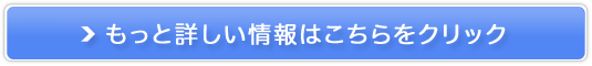 100H̔̔nhXybgpynpp~`z̔TCg
